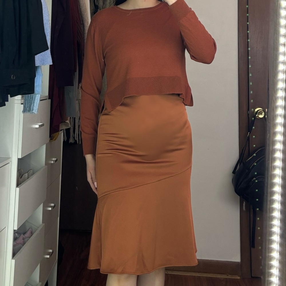 Sam Edelman Terracotta dress with sweater